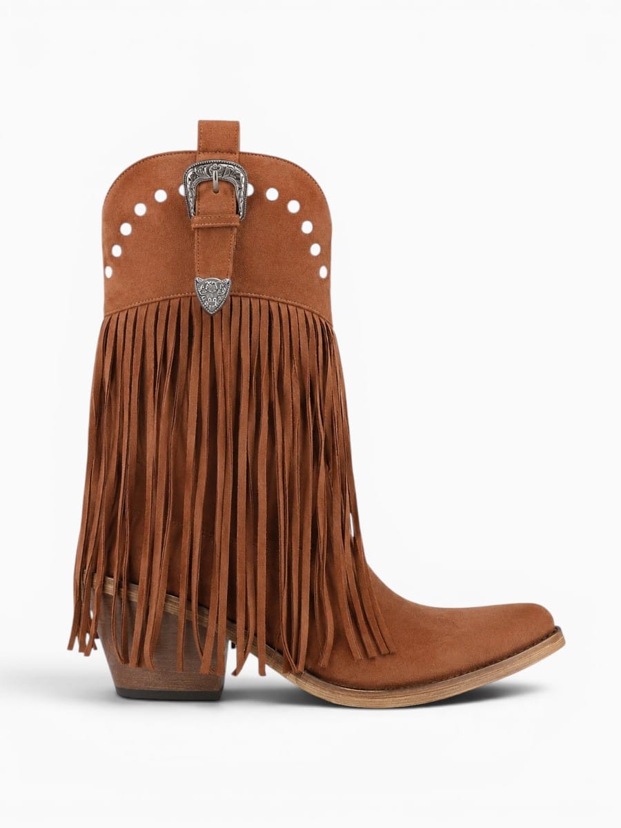 Amara Shoes Fringe Western Ankle Boots Pointed Toe Block Heel