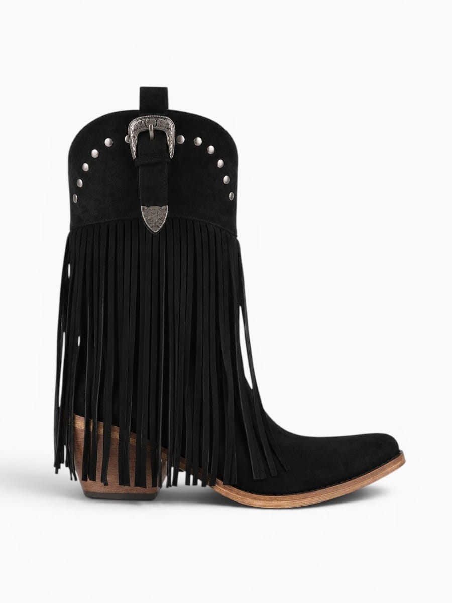 Amara Shoes Fringe Western Ankle Boots Pointed Toe Block Heel