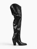 Amara Shoes Pointed Over Knee Cowboy Boots
