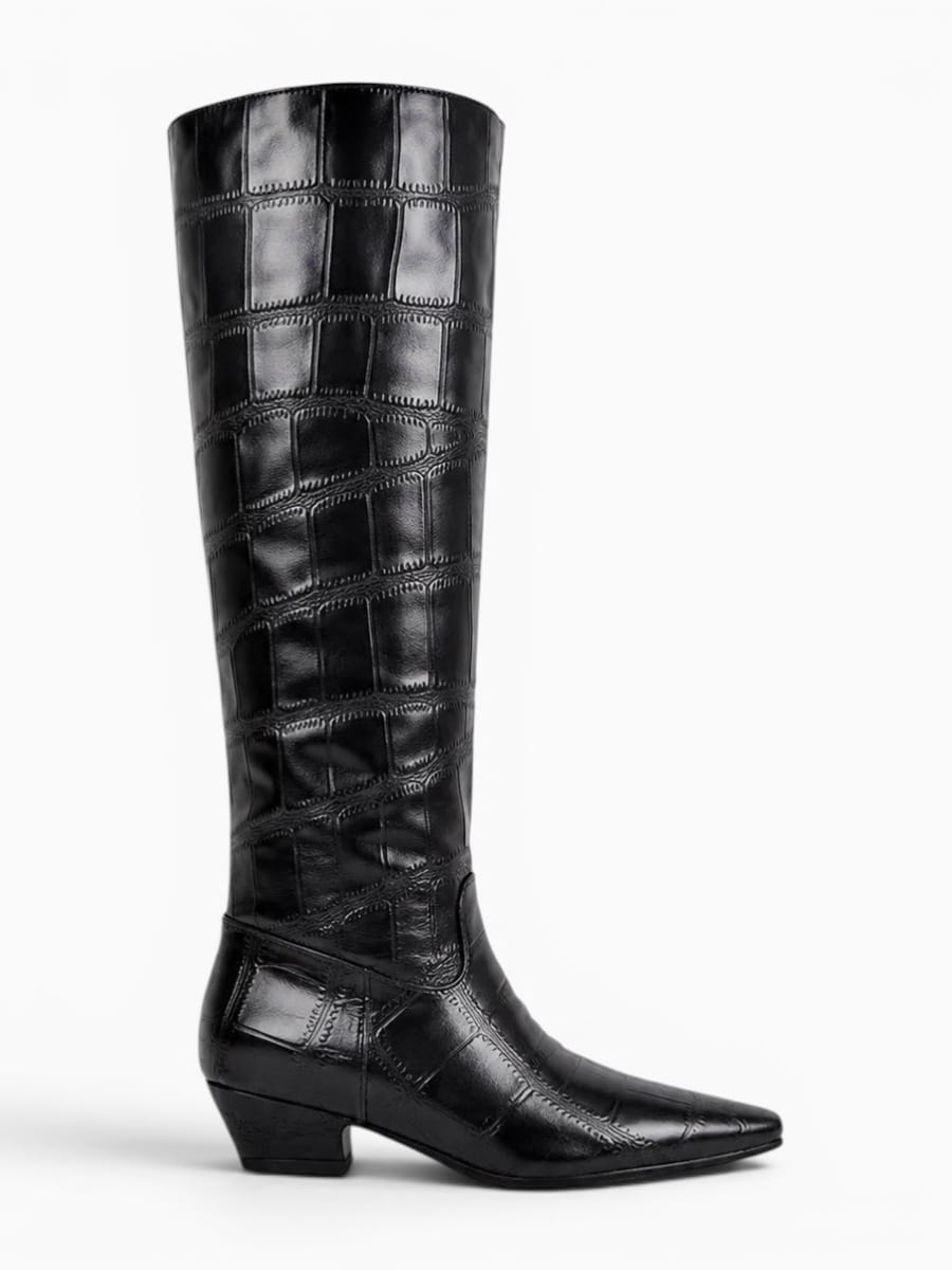 Amara Shoes Pointed Toe Boots Chunky Heel