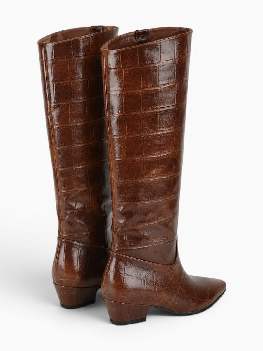 Amara Shoes Pointed Toe Boots Chunky Heel