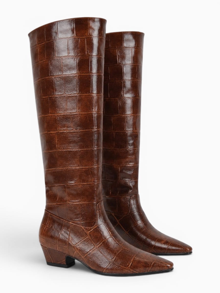 Amara Shoes Pointed Toe Boots Chunky Heel