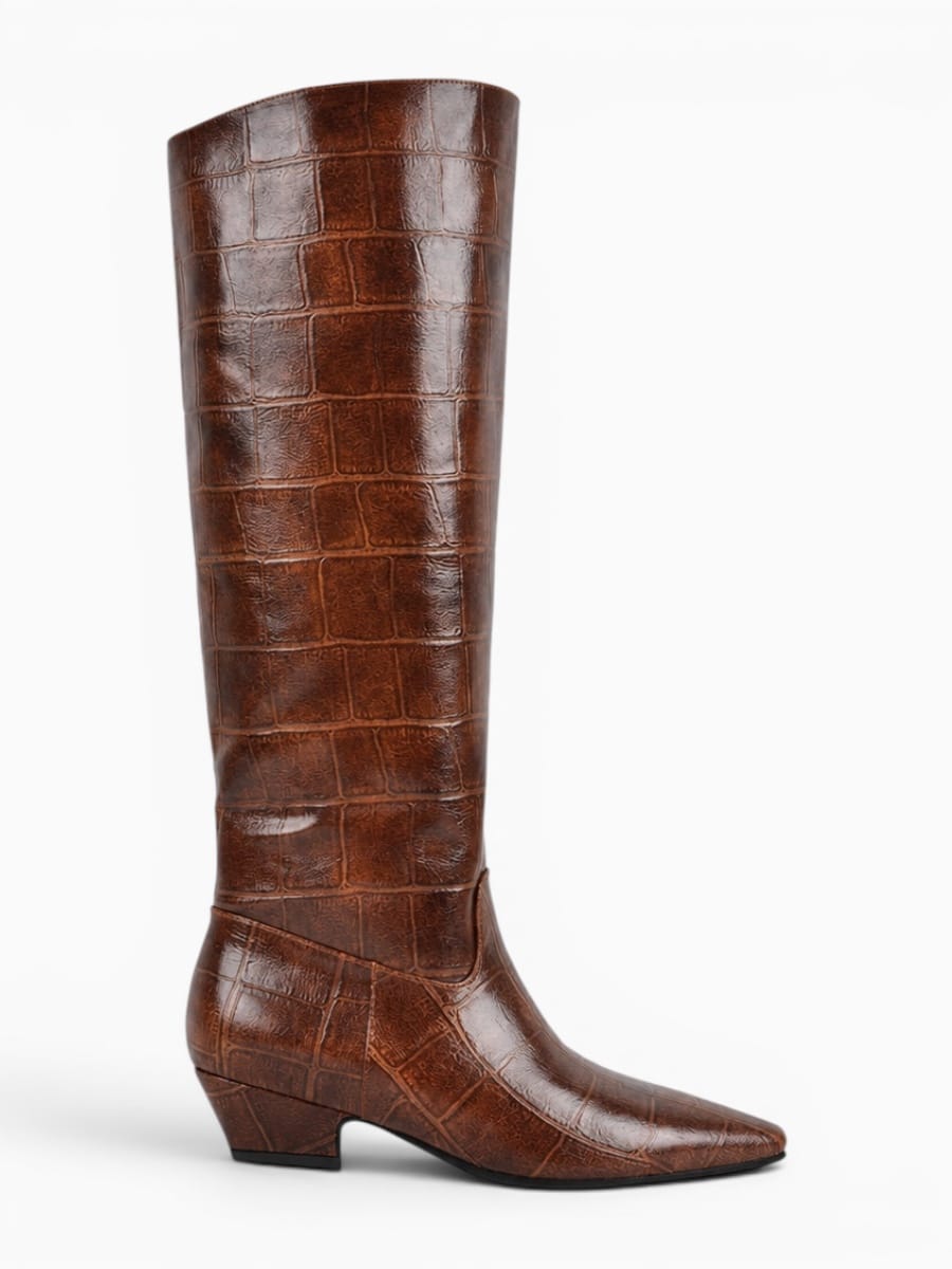 Amara Shoes Pointed Toe Boots Chunky Heel