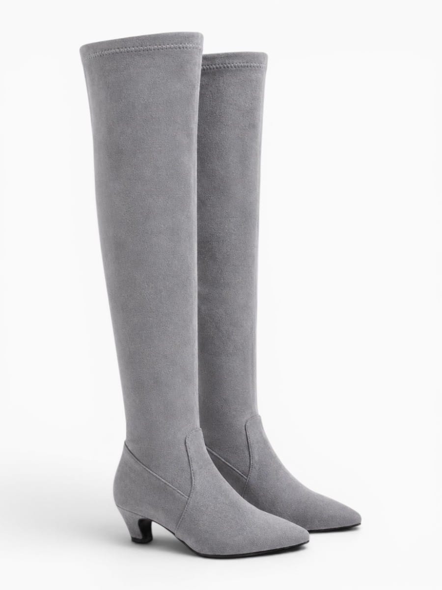 Amara Shoes Stretch Thigh High Pointed Boots