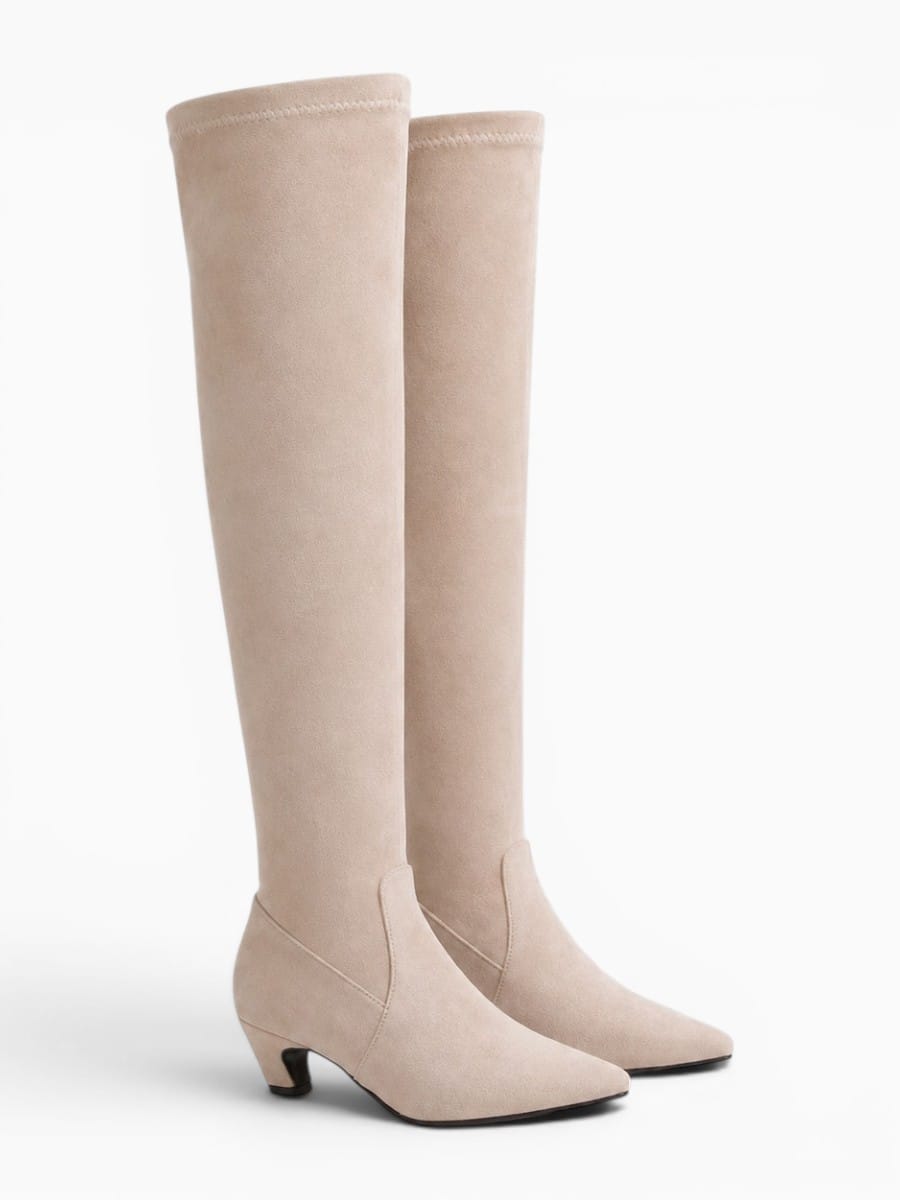 Amara Shoes Stretch Thigh High Pointed Boots
