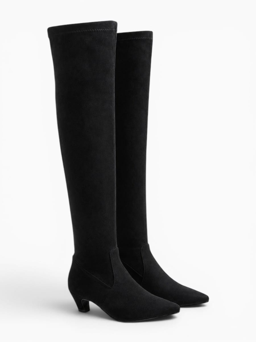 Amara Shoes Stretch Thigh High Pointed Boots